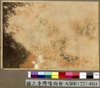 藏品(楚克島 Chuuk (Truk) 的植物寫真)的圖片